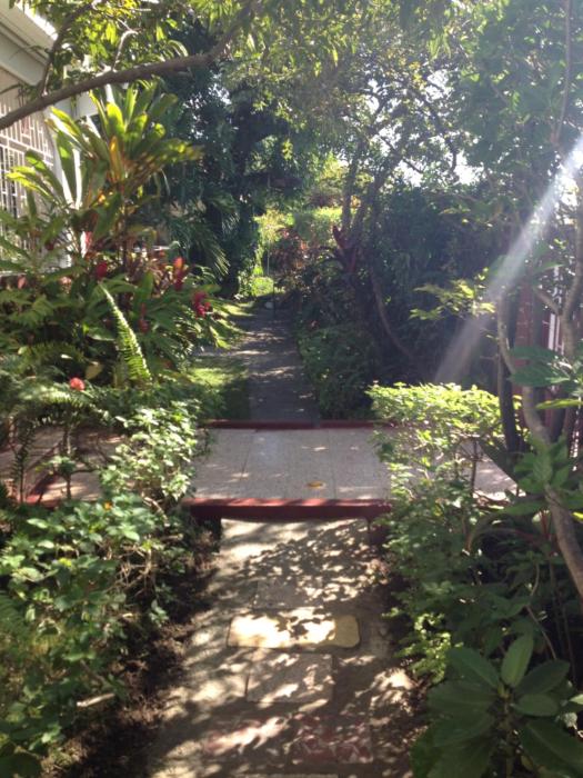 Kingston Airport bed and breakfast