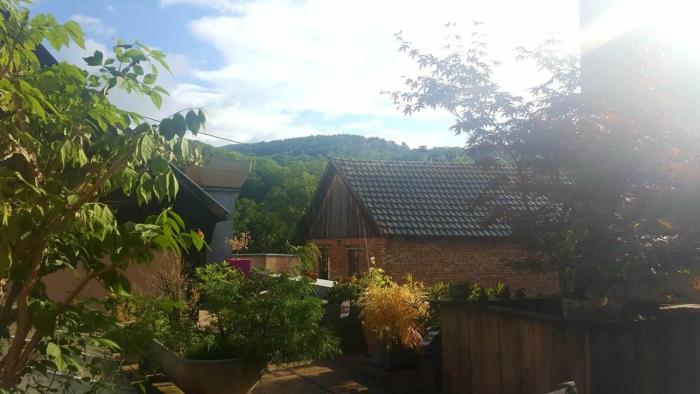 "Côté nature", appartement cosy au cœur de Munster