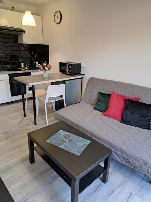 Apartament AQUA Centrum Borowska