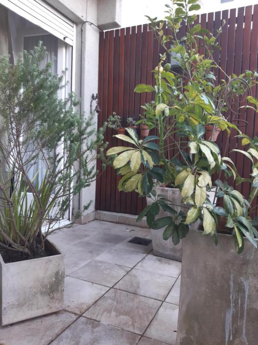 Descanso a Pasos del Mar a 1 cuadra de Guemes 3 Amb con Cohera Cubierta Especial para Familias