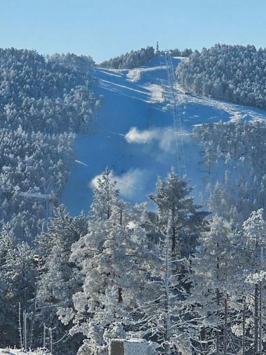 Apartmani kod Pančevca