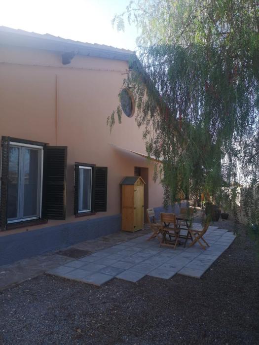 Vegan garden Apartment