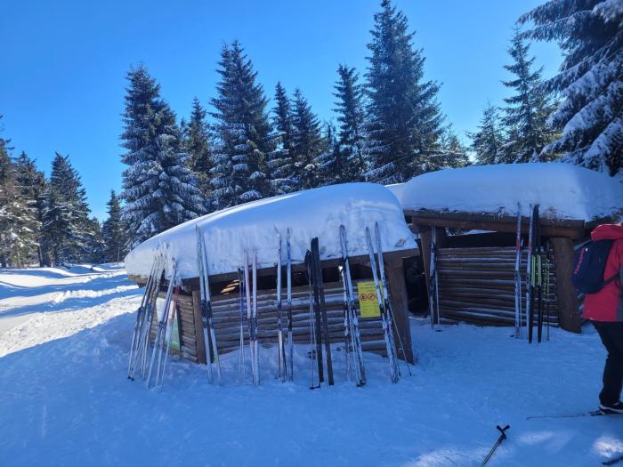 Apartamenty Leśniczówka Salamandra