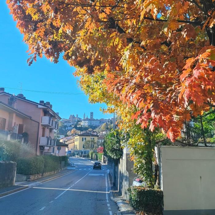 Nelly Bergamo Apartments