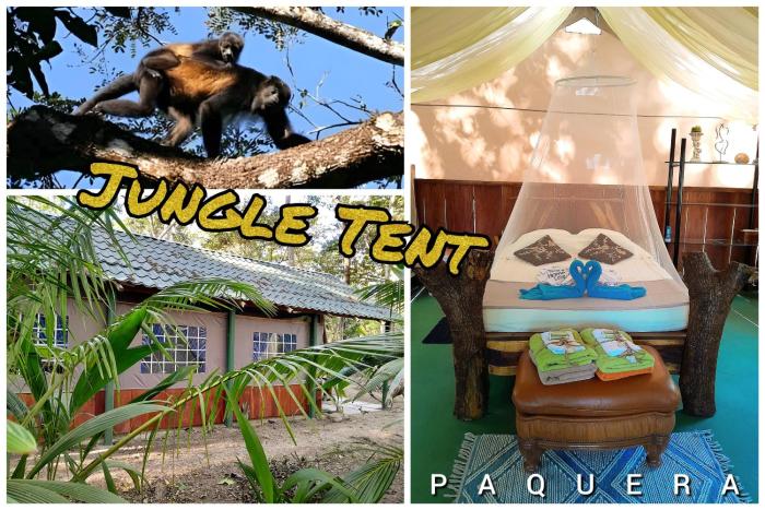 Fully Furnished FAMILY JUNGLE TENT, Latino Glamping Paquera