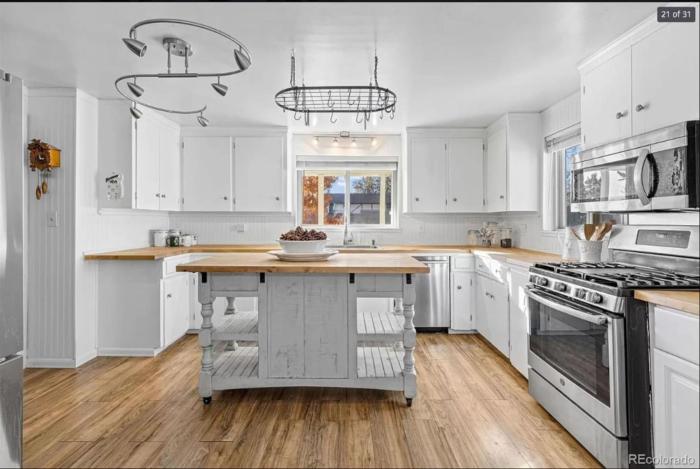 Sunny Beach House of Olde Town Arvada