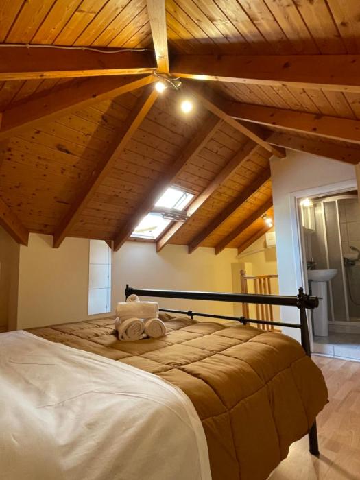 Οι Φωλίτσες