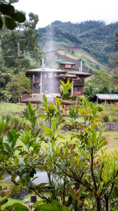 Los Quetzales Ecolodge & Spa