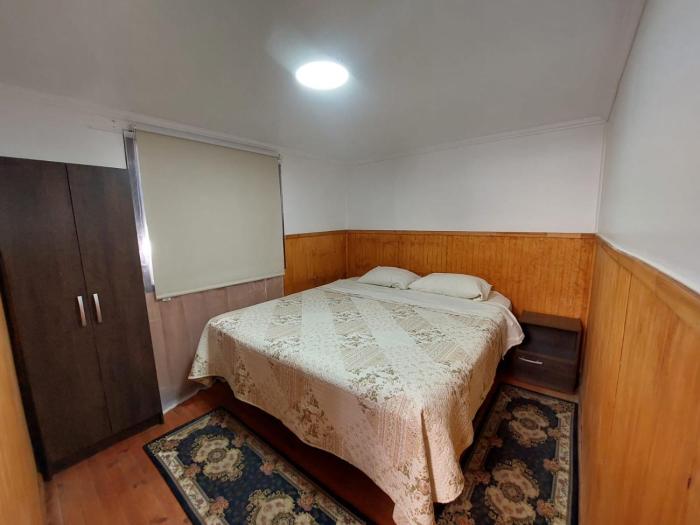 Departamento interior 2 Villarrica Céntrico