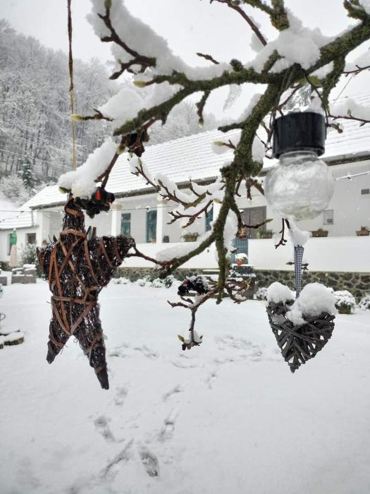 Kiskilenc Vendégház