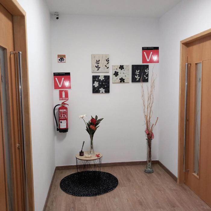Apartamentos Maoli(A)