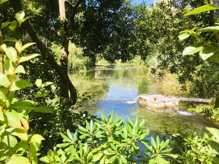 Résidence Cap Vert - Beau T2 front de mer dans domaine avec piscine et tennis MAE-4314