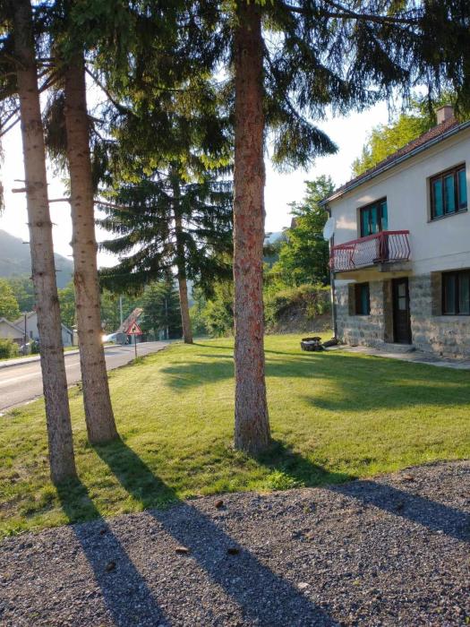 Lila - Josanicka Banja