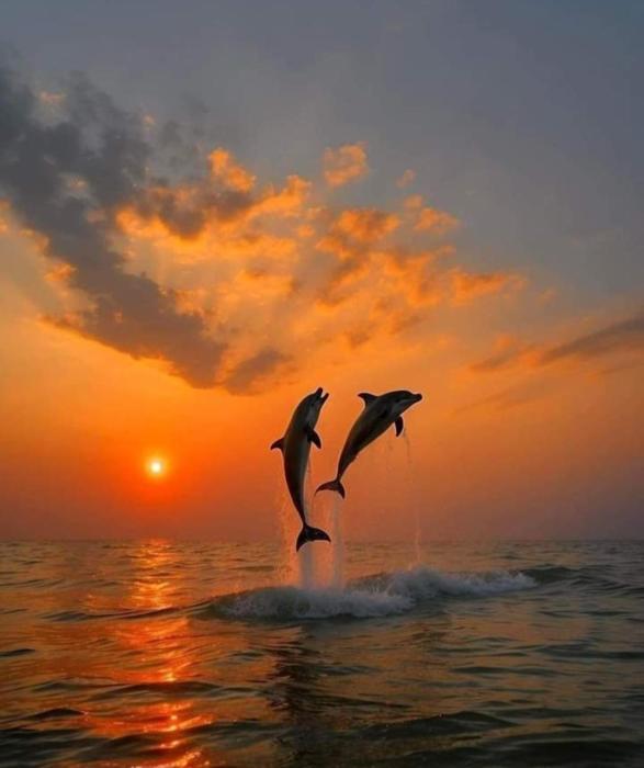 Apartamento Praia Grande Ubatuba