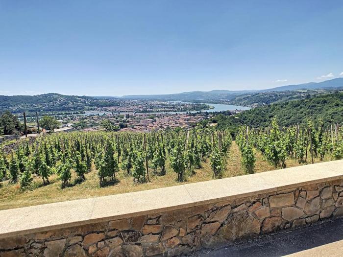 Condrieu, le Châtillon au cœur du vignoble vue sur vallée du Rhône climatisé