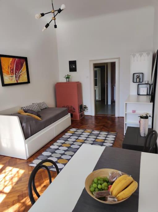 Cosy condo in the heart of the Upper town Zagreb