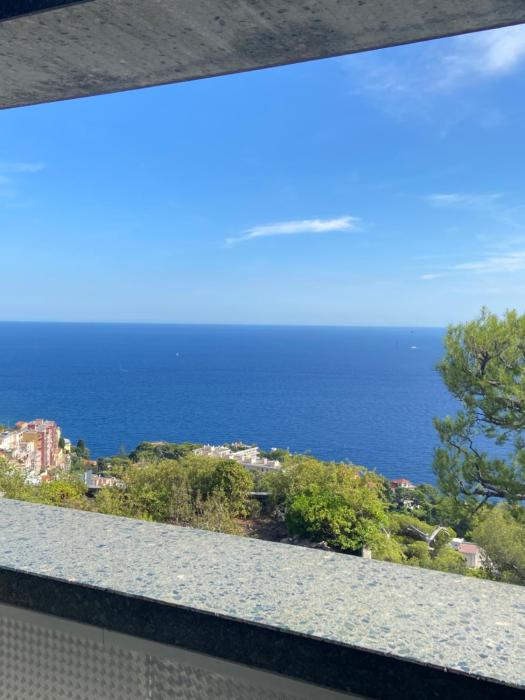 MONACO DOORS 5 Vue Mer, piscine, parking