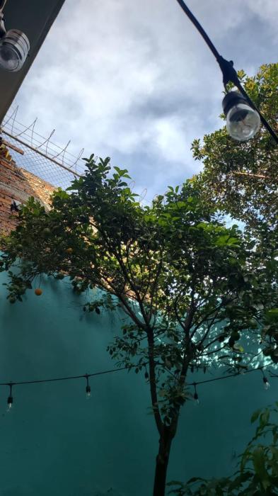 Residencia 20 personas