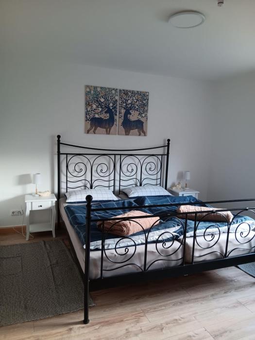 Apart-Lachmoewe-im-Moewennest-Tossens