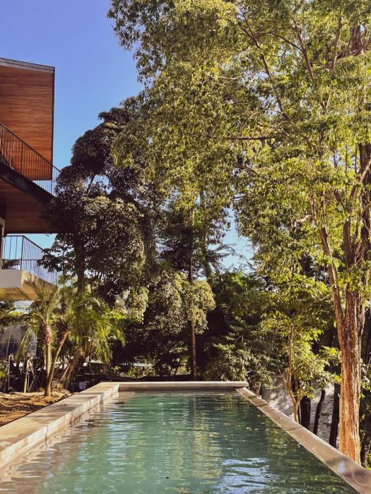 Purapura Santa Teresa