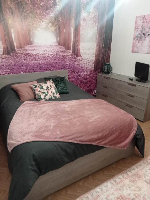 Appartement au rez -de -chaussée maison individuelle