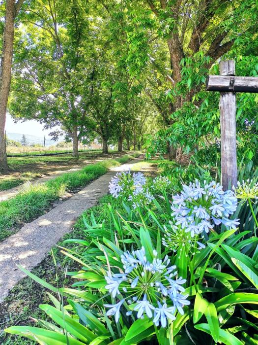 Hill Billys Selfcatering