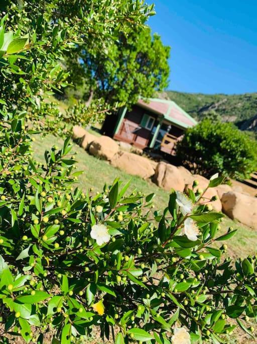 Chalet au calme à Sagone en Corse