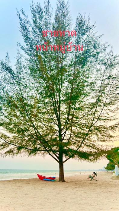 Oriental Beach By Winnie