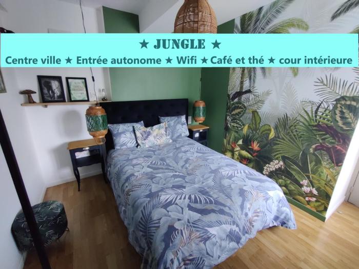 Appartement T2 "JUNGLE" Centre Ville de VITRÉ au calme coté cour