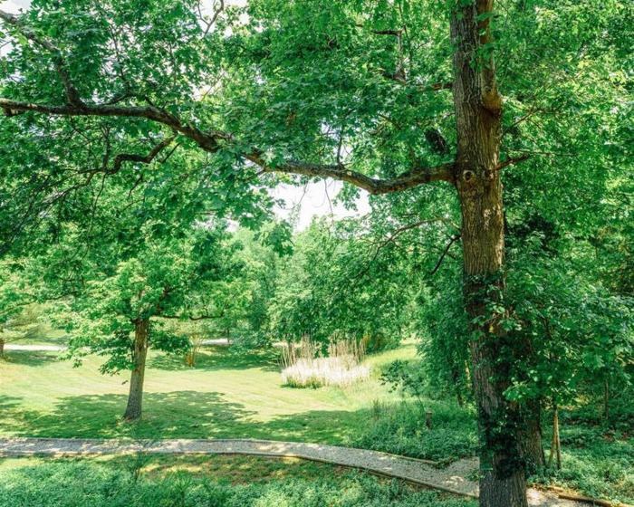 Tribesman #10 - Janet Berwangers Cabana - near Silver Dollar City