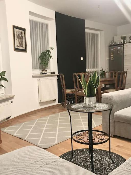 Apartament nad rzeką przy parku zamkowym