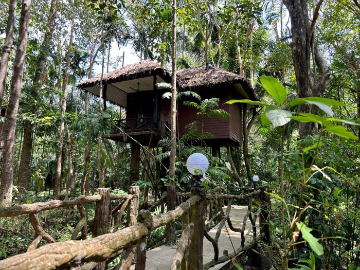 Khao Sok Paradise Resort