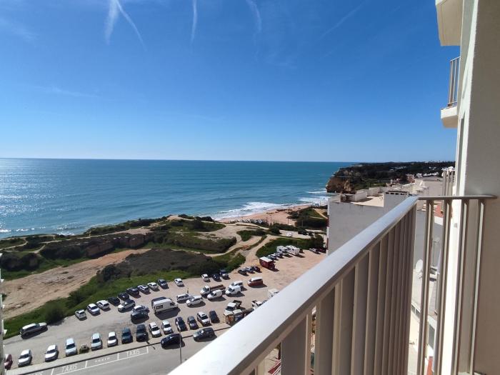 12D Rocha - Casas & Papeis