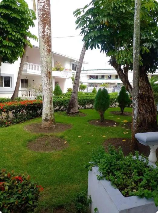 casita de patricia