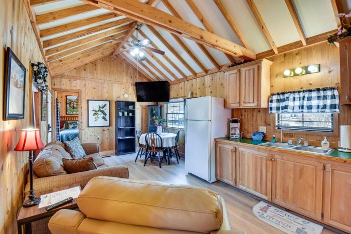 Cozy Dillard Cabin w Mountain Views & Pool Access