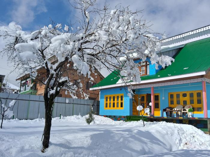 Conifer view guest house