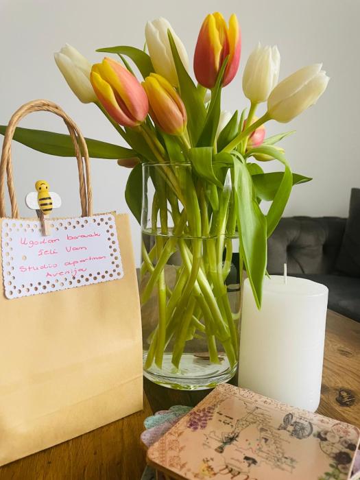 Studio apartman Avenija ***