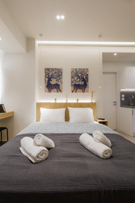 Modern & Stylish 1 BDR Apartment