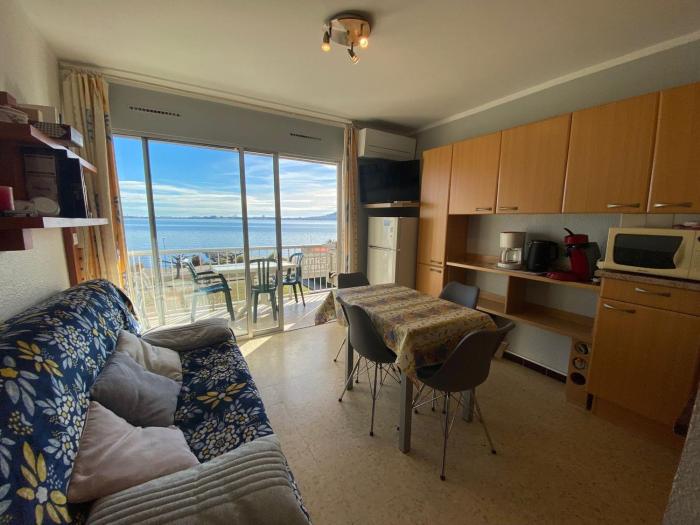 Appart climatisé 3 étoiles proche Thermes et étang, animaux admis - FR-1-503-26