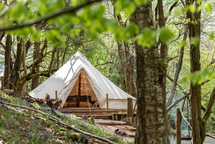 Cuddfan Bach (The Little Hideaway) at Camp Plas