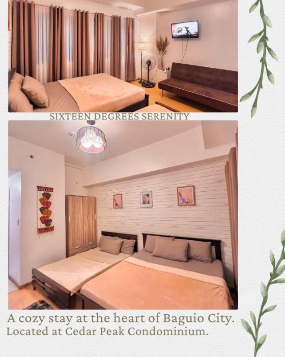 Sixteen Degrees Serenity