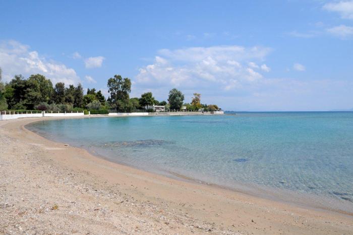 Angelas Seaview Apartment