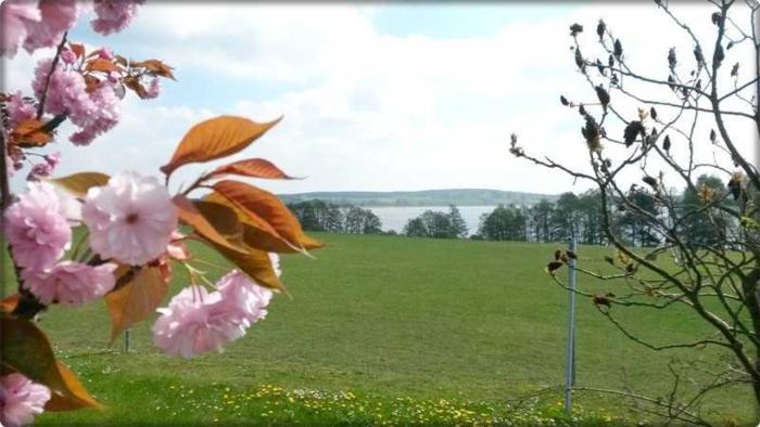 Ferienwohnung Mäckelborg am schönen Woblitzsee