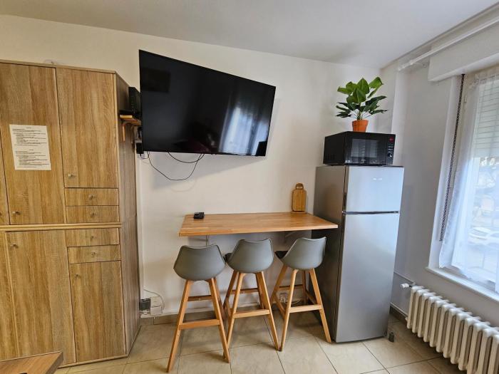 Studios Immostrasbourg - hébergements de tourisme classés proche centre et Conseil dEurope