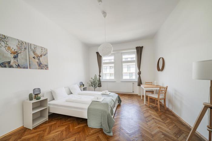 spacious studio in vienna