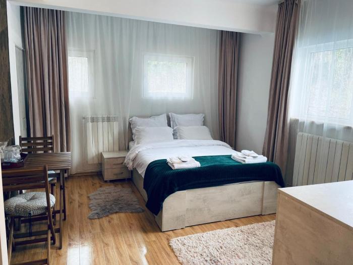 Studio Poema Ultracentral Sinaia