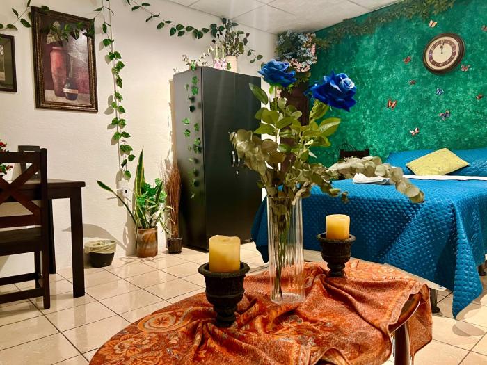 "The Enchanted Forest" inside The Alchemist Café - Shuttle services available