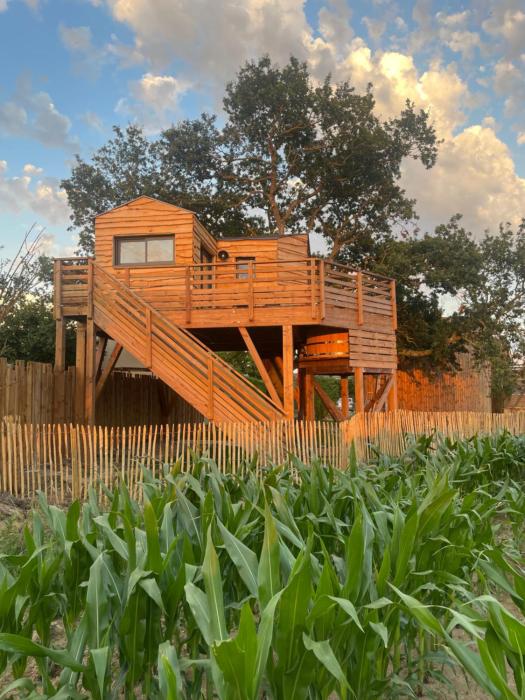 La Cabane dans les Arbres - Les Pieds dans le Pré