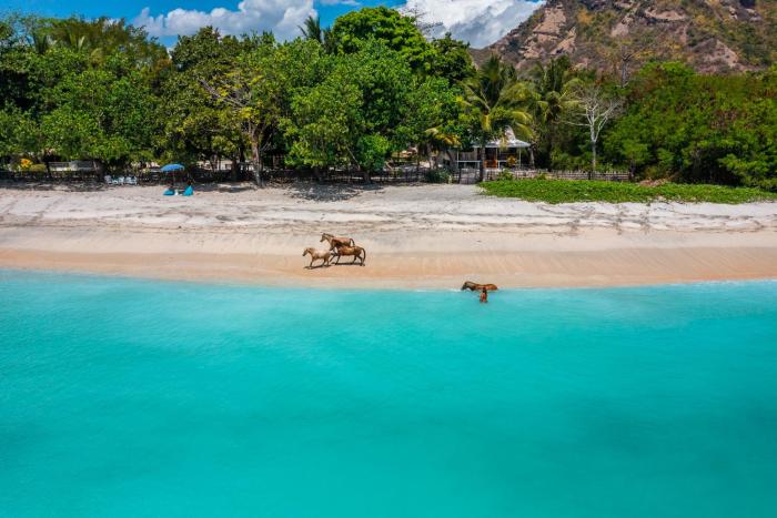 Scar Reef Resort - Beachfront Paradise HALF BOARD or NIGHT STAY