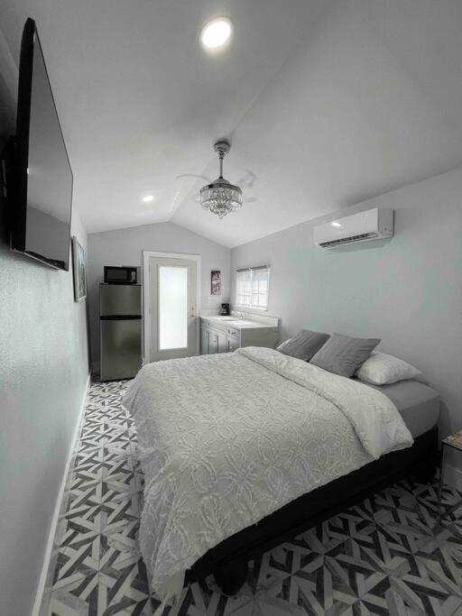 modern Tiny Home Tampa